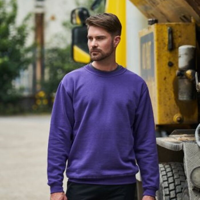 Standard Sweatshirts Thumbnail